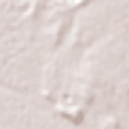 Nueva Rosita Terrain Map