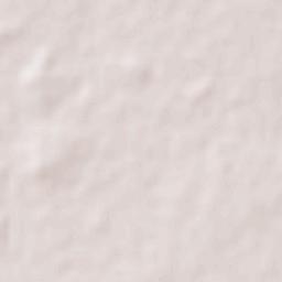 Ciudad Melchor Múzquiz Terrain Map