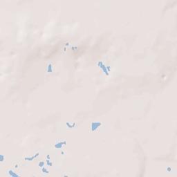 Bloomingdale Terrain Map