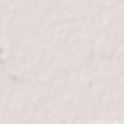 Punahana Terrain Map