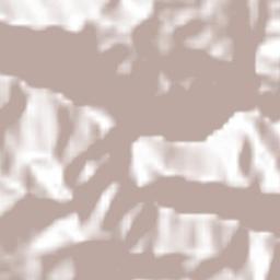 Maguarichi Terrain Map