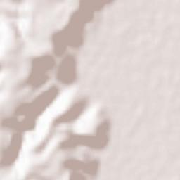 Firozpur Jhirka Terrain Map