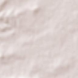 Villa Las Esperanzas Terrain Map