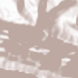 Larestan Terrain Map