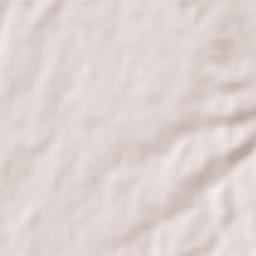 Ziyārat Ali Terrain Map