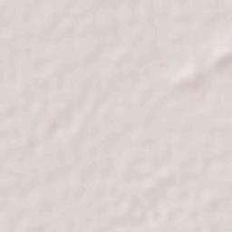 San Francisco Terrain Map