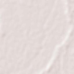 Bharatpur Terrain Map