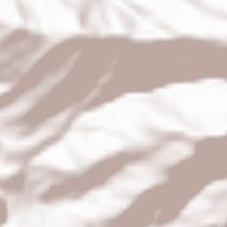 Trashi Yangtse Terrain Map