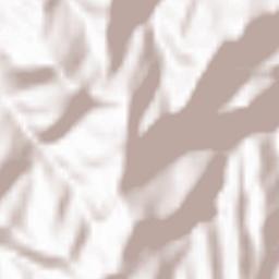 Lower Subansiri Terrain Map