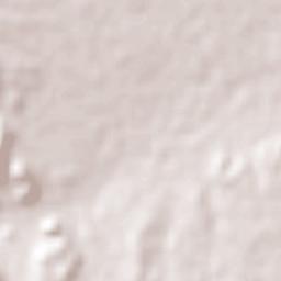 San Francisco de Conchos Terrain Map