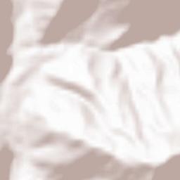 Punākha Terrain Map