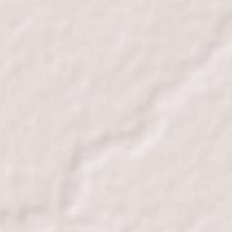 Tinsukia Terrain Map