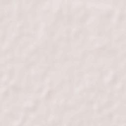 Kaimganj Terrain Map