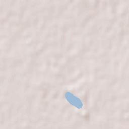 Providencia Terrain Map