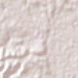 Quiriego Terrain Map