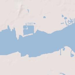 Palmetto Terrain Map