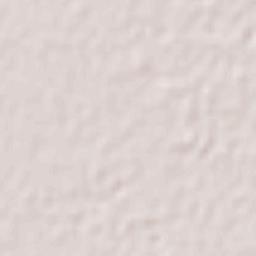 Ciudad Obregón Terrain Map