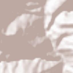 Wangdue Phodrang Terrain Map