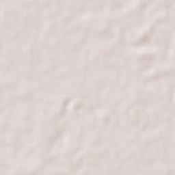 San Ignacio Río Muerto Terrain Map