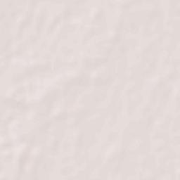 Nautanwa Terrain Map