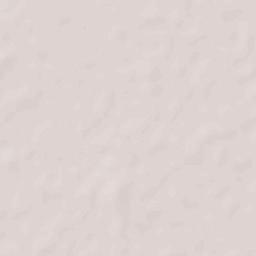 Nasirabad Terrain Map