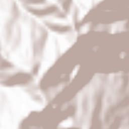 West Kameng Terrain Map