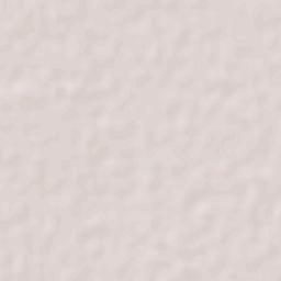 Pueblo Yaqui Terrain Map