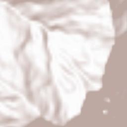 South District Terrain Map