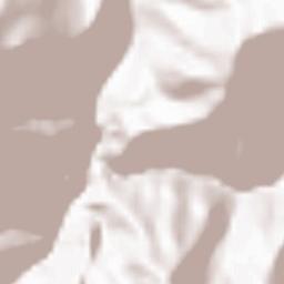 Trashigang Terrain Map