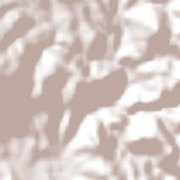 Cerocahui Terrain Map