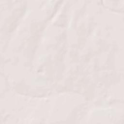 Hebbronville Terrain Map