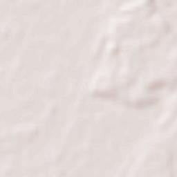 Nichlaul Terrain Map