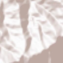 East Kameng Terrain Map