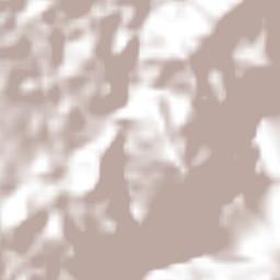 Témoris Terrain Map