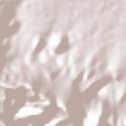 Sierra Mojada Terrain Map