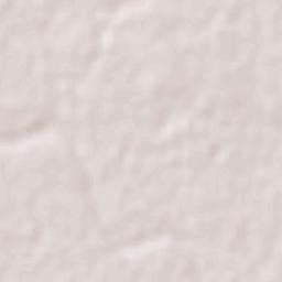 Anáhuac Terrain Map