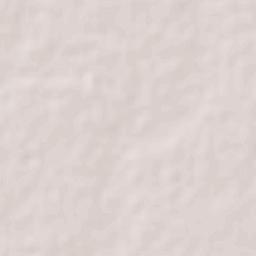 Bacame Nuevo Terrain Map