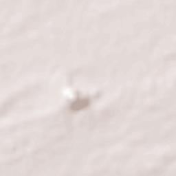 Kuchaman Terrain Map