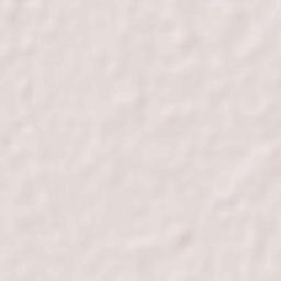 Ramnagar Terrain Map