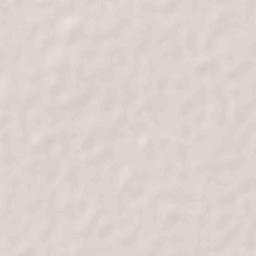 Villa Juárez Terrain Map