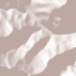 Naya Bazar Terrain Map