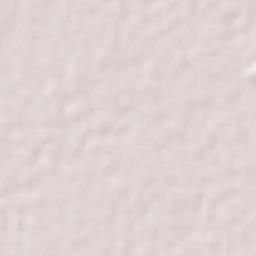 San Buenaventura Terrain Map