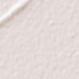 Fatehpur Sikri Terrain Map