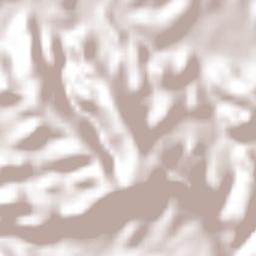 Huejotitán Terrain Map