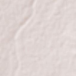 Lampazos de Naranjo Terrain Map