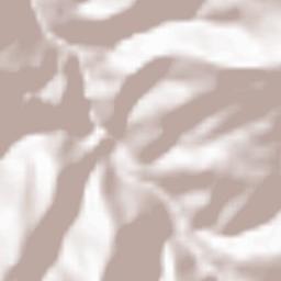 Pemagatshel Terrain Map