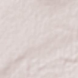 Pueblito de Allende Terrain Map