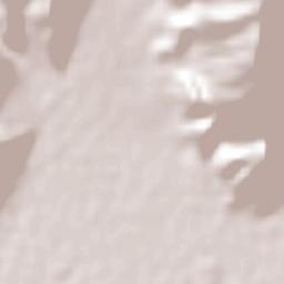 Cuatro Ciénegas de Carranza Terrain Map