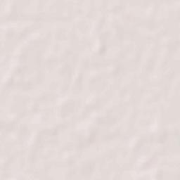 Pashchim Champaran Terrain Map