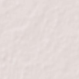 Birgañj Terrain Map